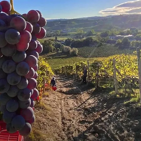 公寓 La Rosa Nel Borgo - Con Balcone 拉莫拉